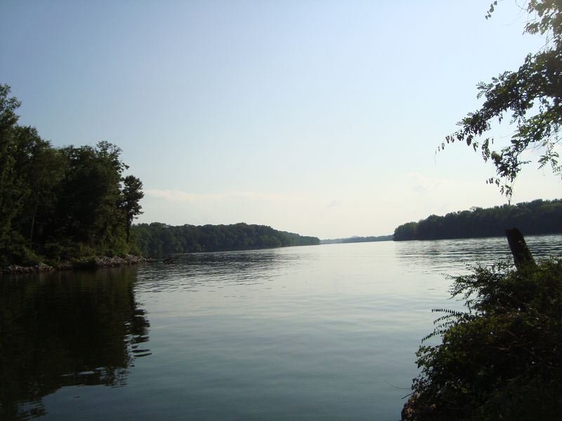 Village Point Park Preserve